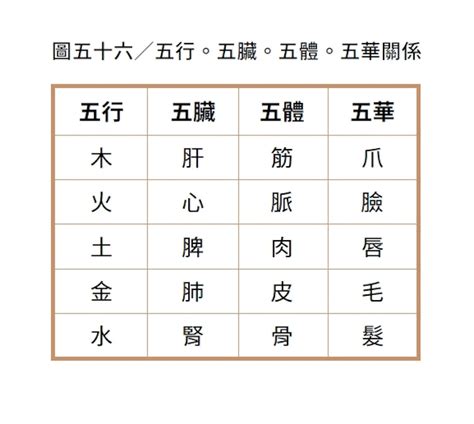 疾 厄 宮,氣質|《紫微攻略・紫微斗數新手村》：「疾厄宮」是古人用。